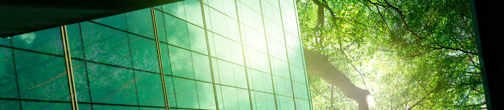 baner 1 - aktualności